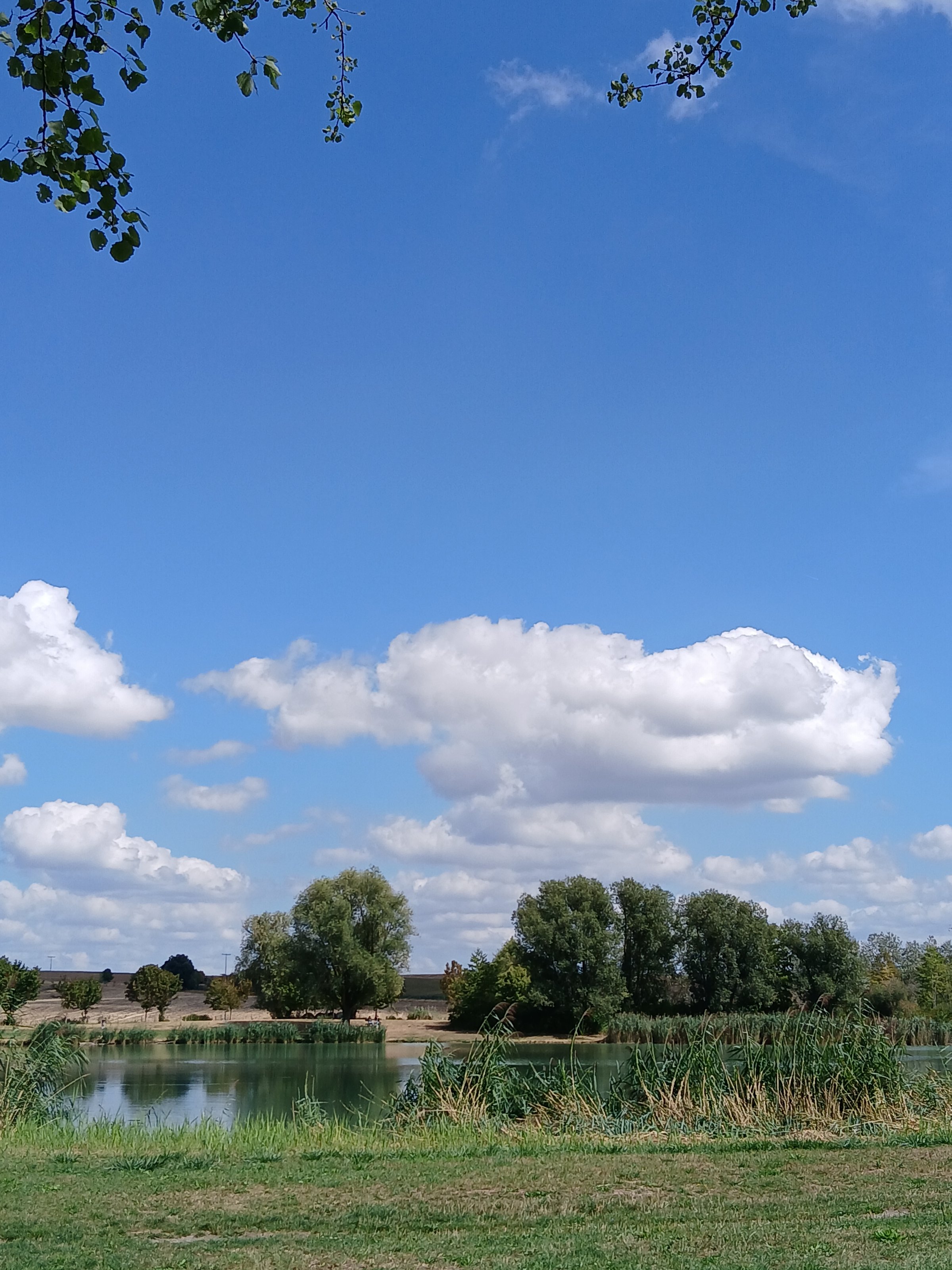 Landschaftssee Seinsheim