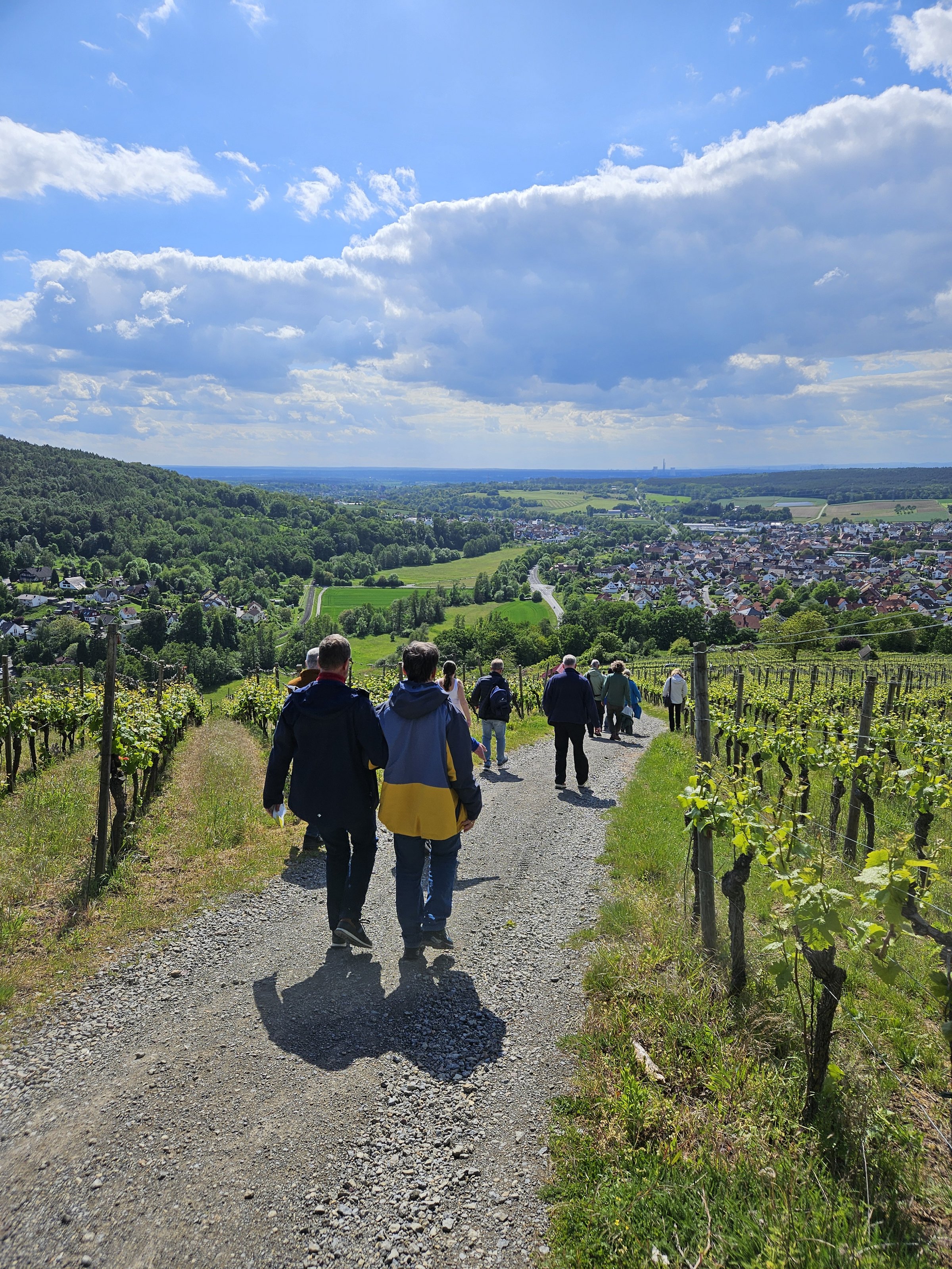Gruppe von hinten, die im Weinberg abwärts läuft, mit Weitsicht.