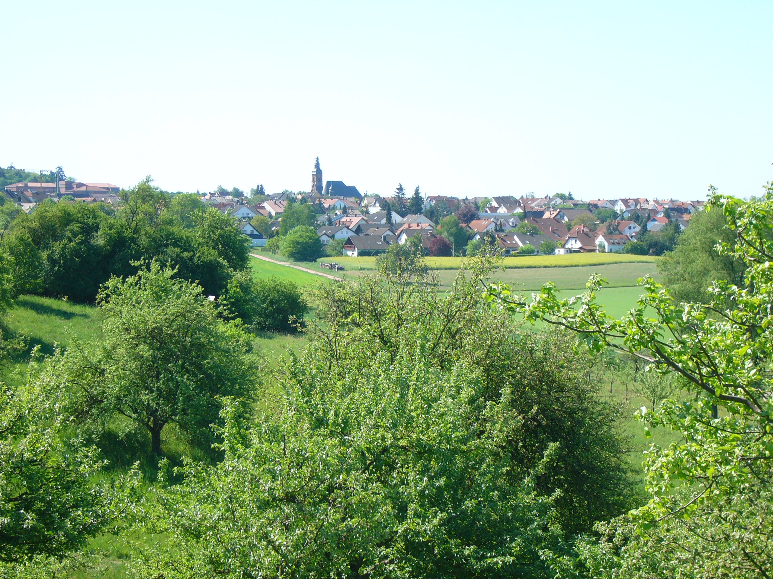 Blick auf Wasserlos von unterwegs während der Tour.