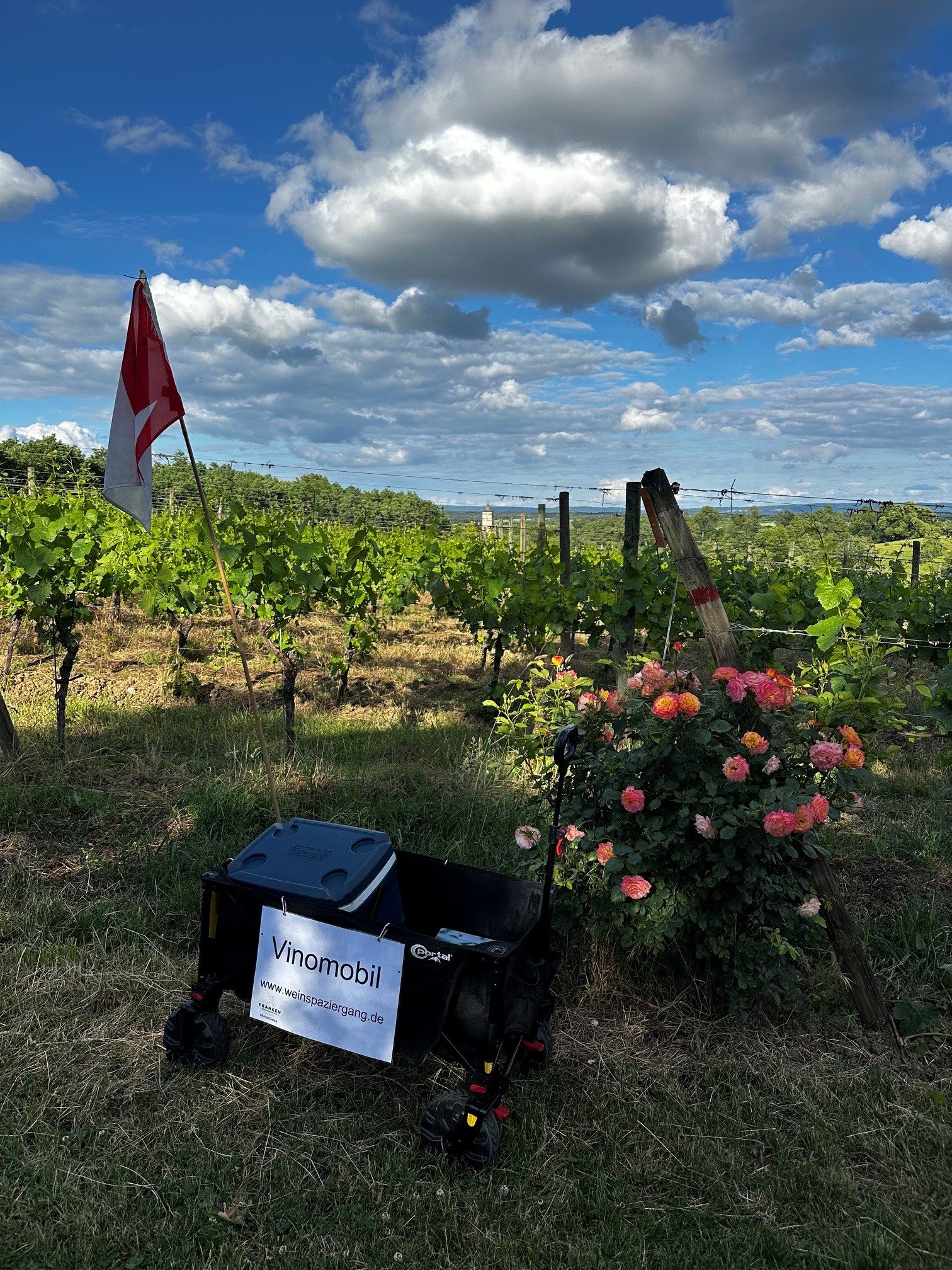 Bollerwagen im Weinberg