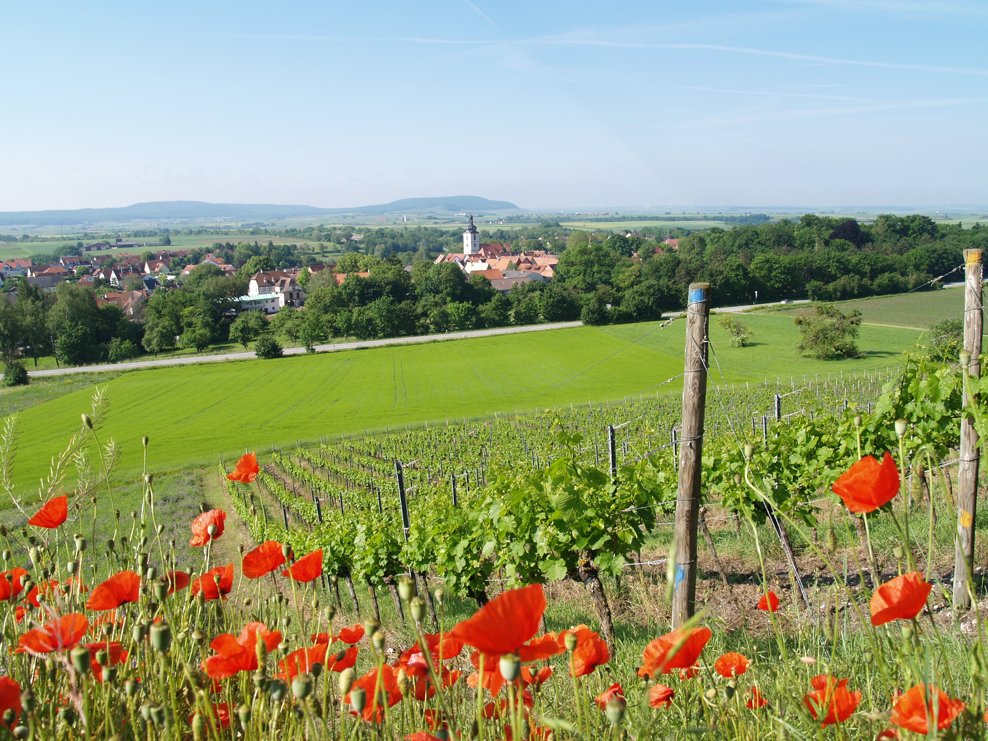 Blick auf Markt Einersheim 