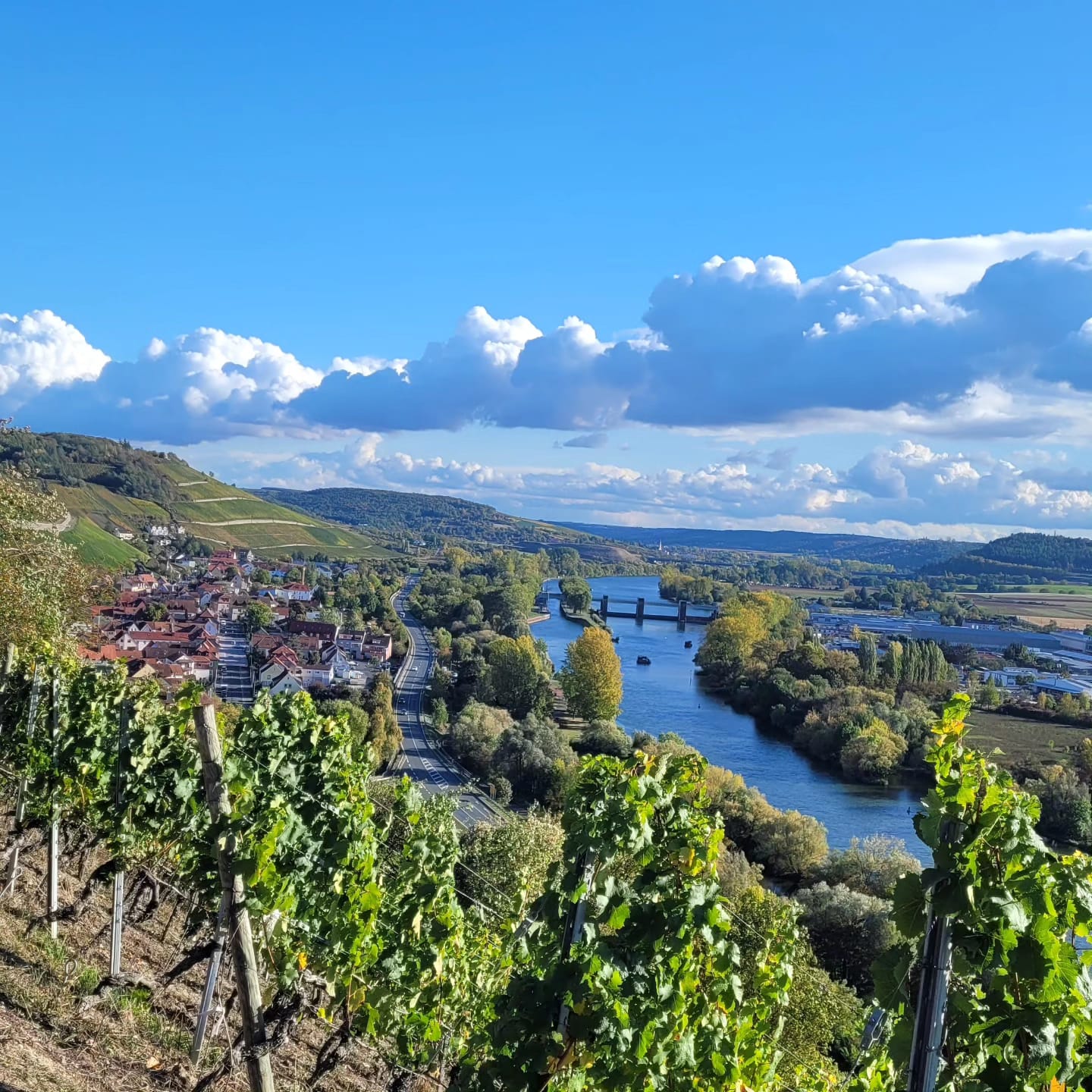 Aussicht Randersacker Weinberg