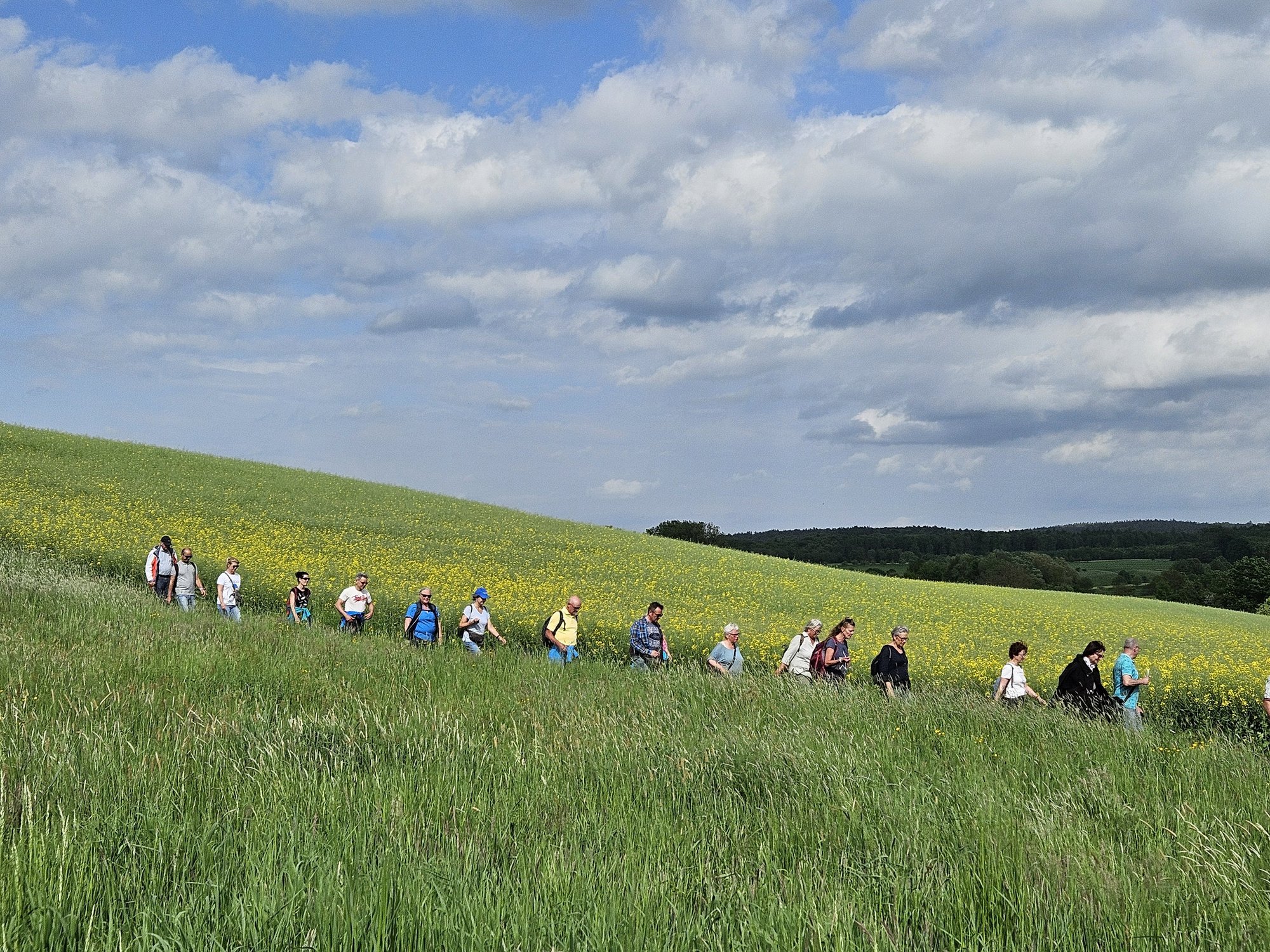 Wandergruppe durchquert einen Ackerrain zwischen zwei Wiesen.