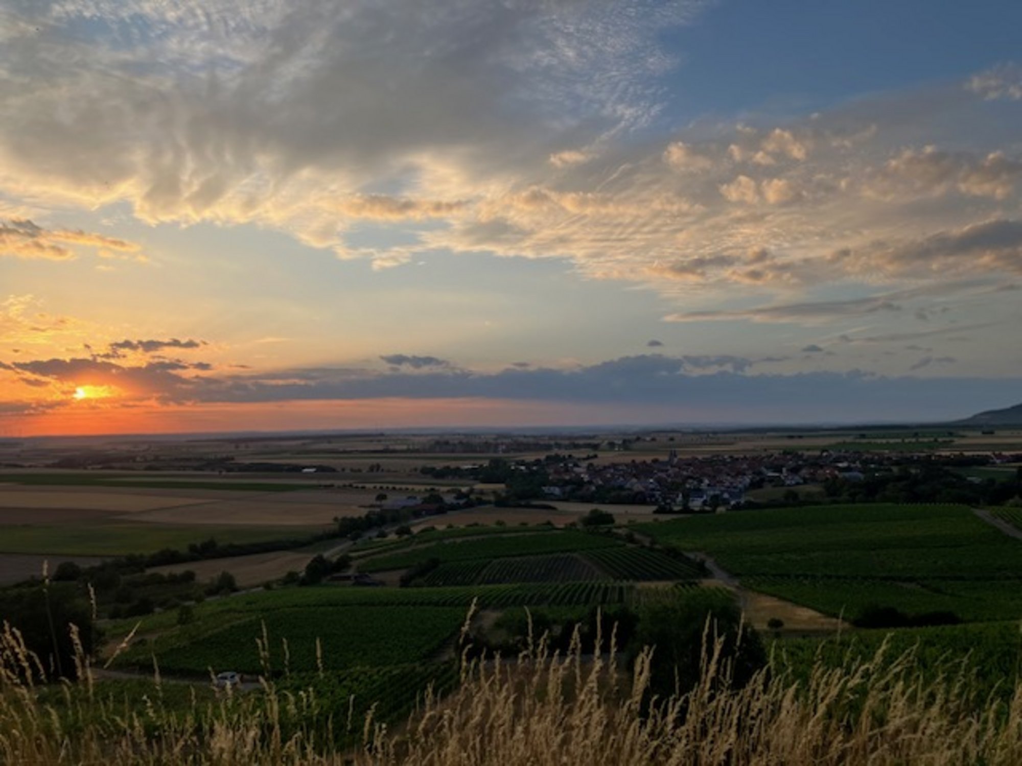Blick vom Weinberg auf Hüttenheim