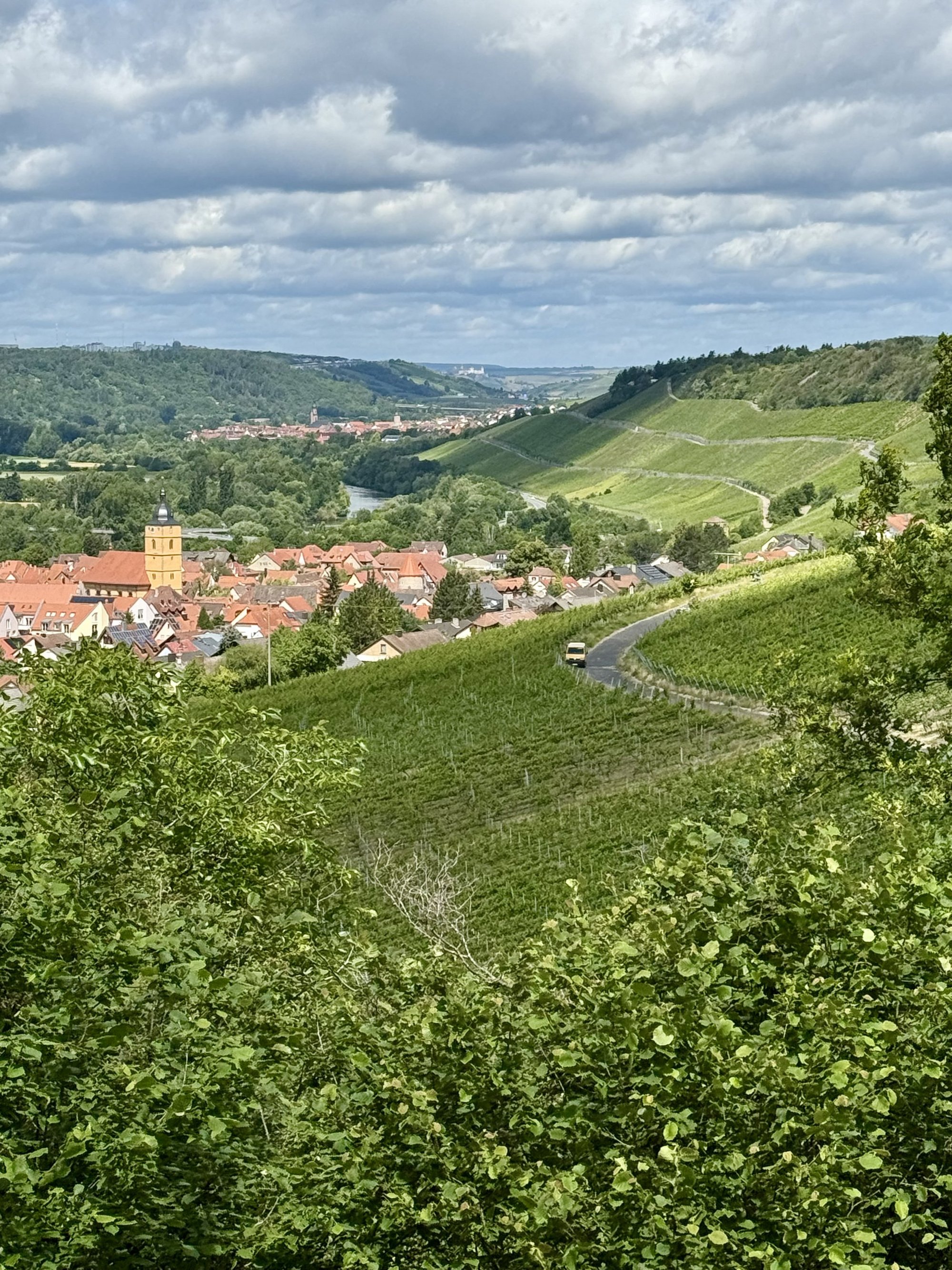 Auf dem Bild sind der Weinort Sommerhausen und seine Weinberge zu sehen. 