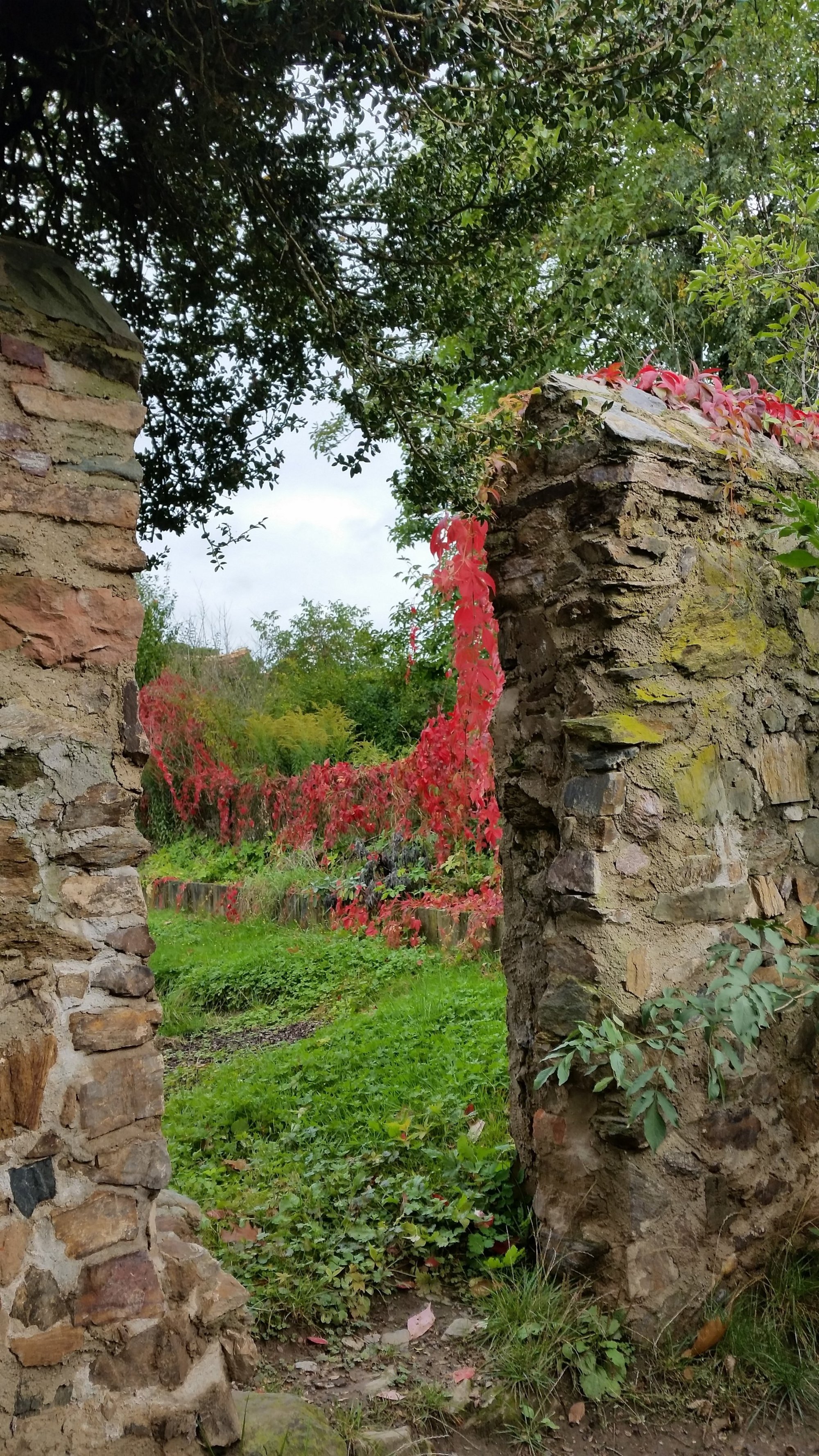 Loch in einer alten Mauer, mit Efeu bewachsen