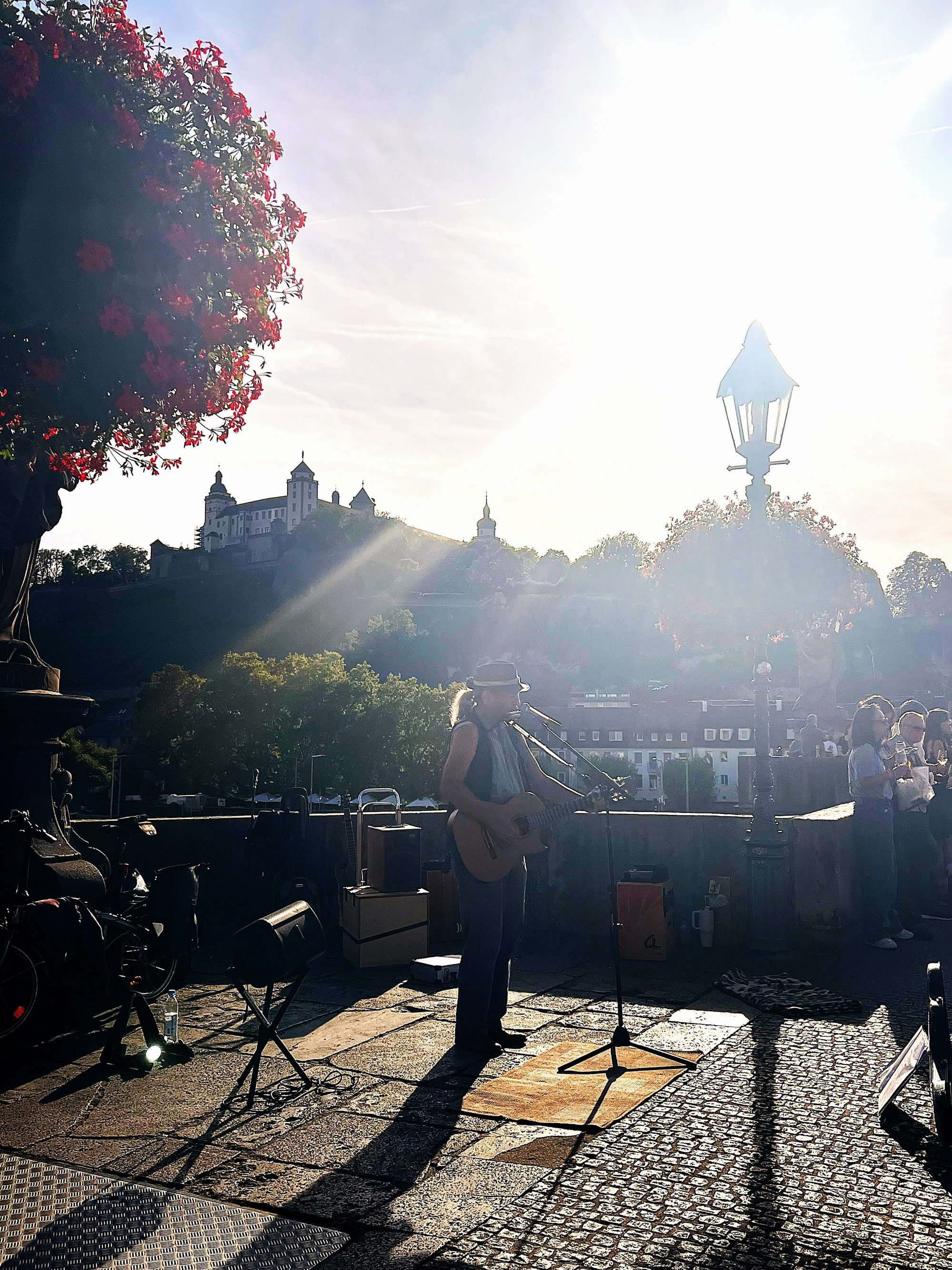 Straßenmusikant auf der Alten mainbrücke