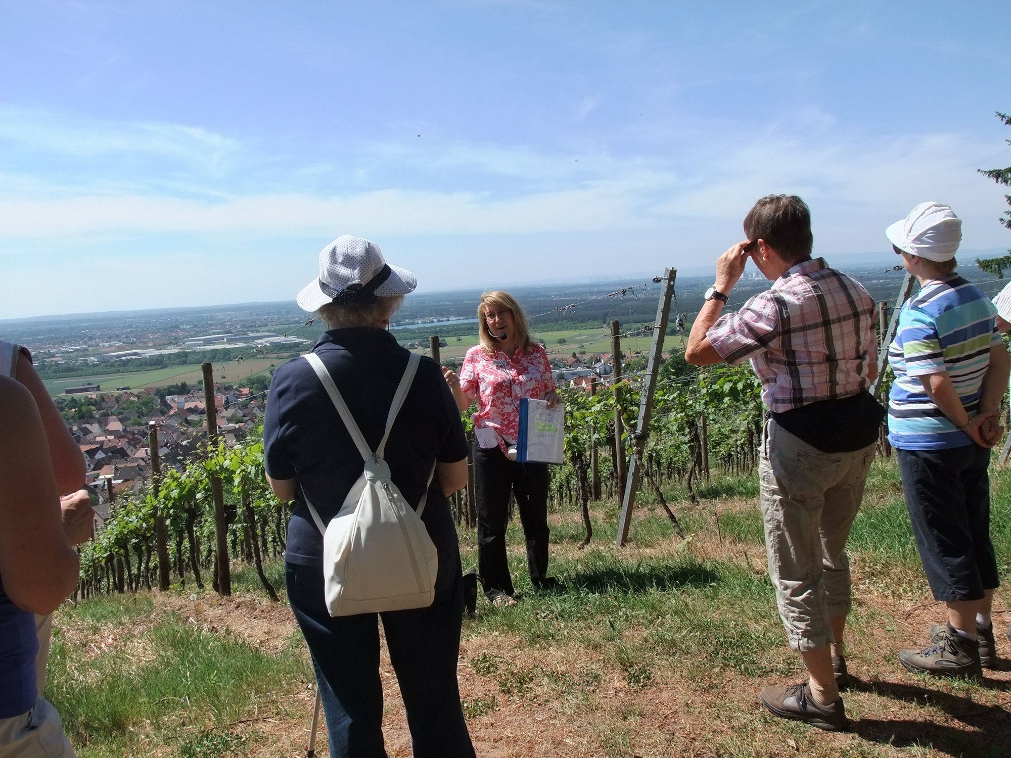 Personengruppe in Weinberg mit Weitsicht