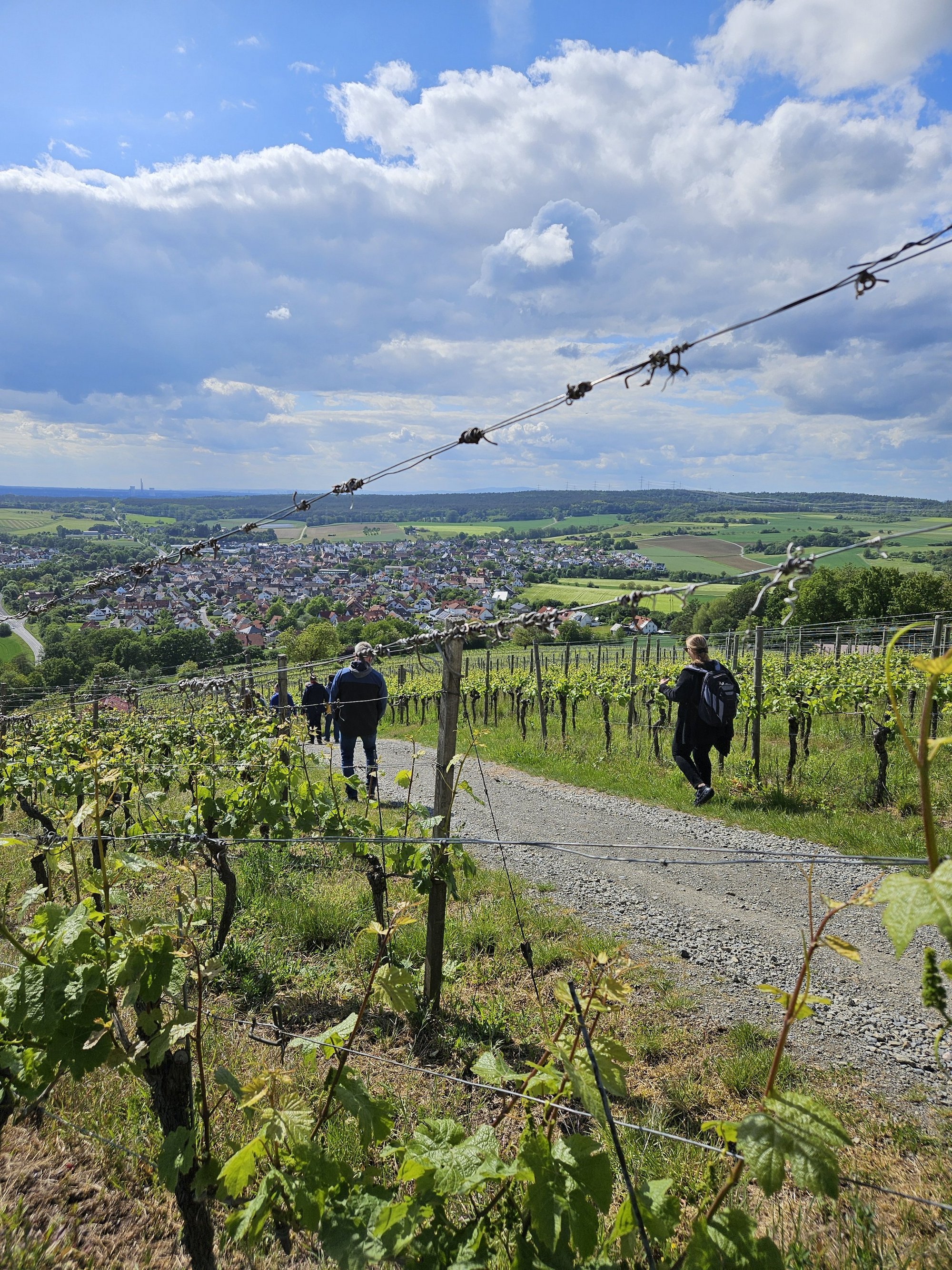 Personengruppe auf Weg im Weinberg mit Weitblick.