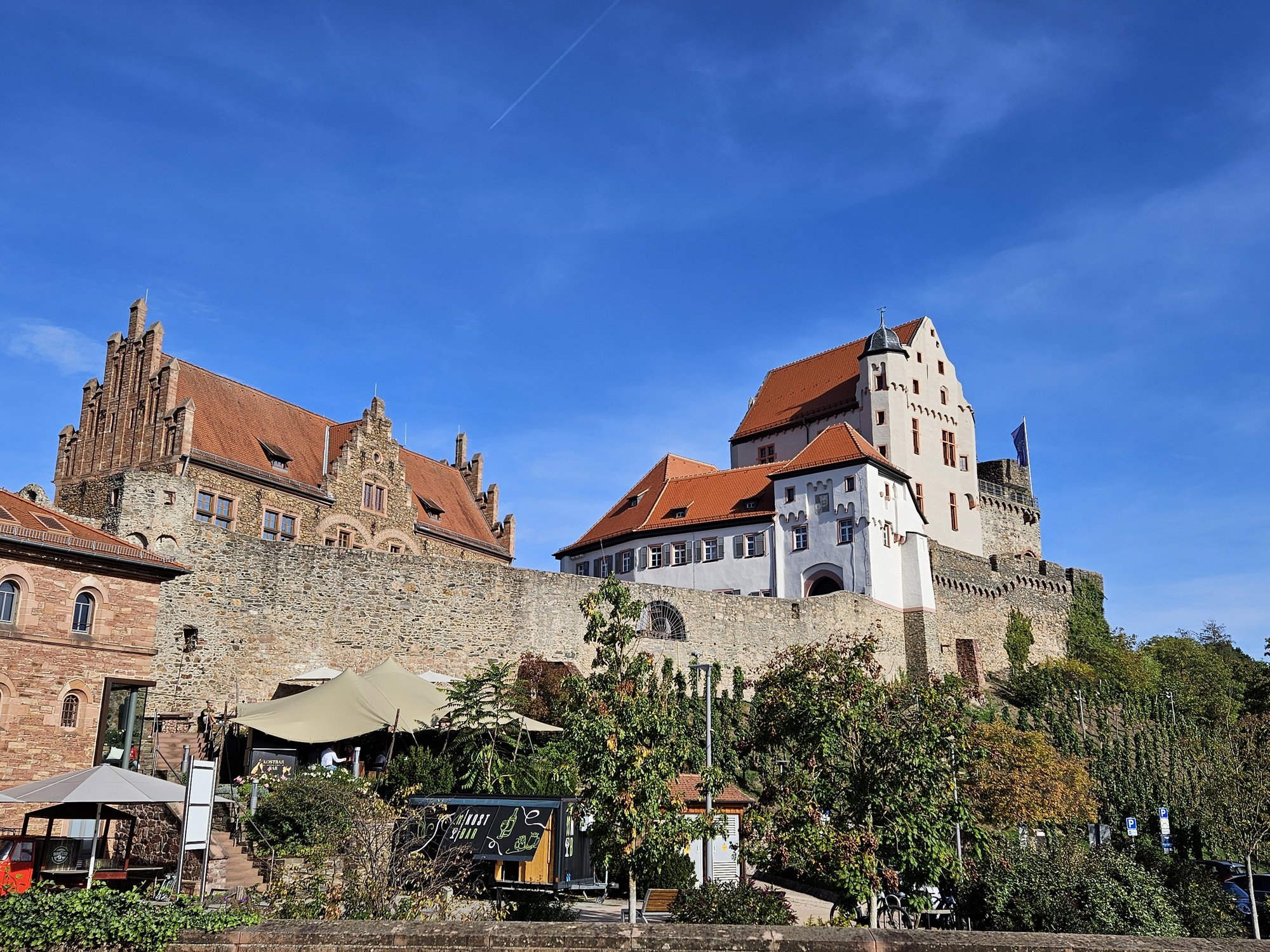 Blick auf die Burg Alzenau