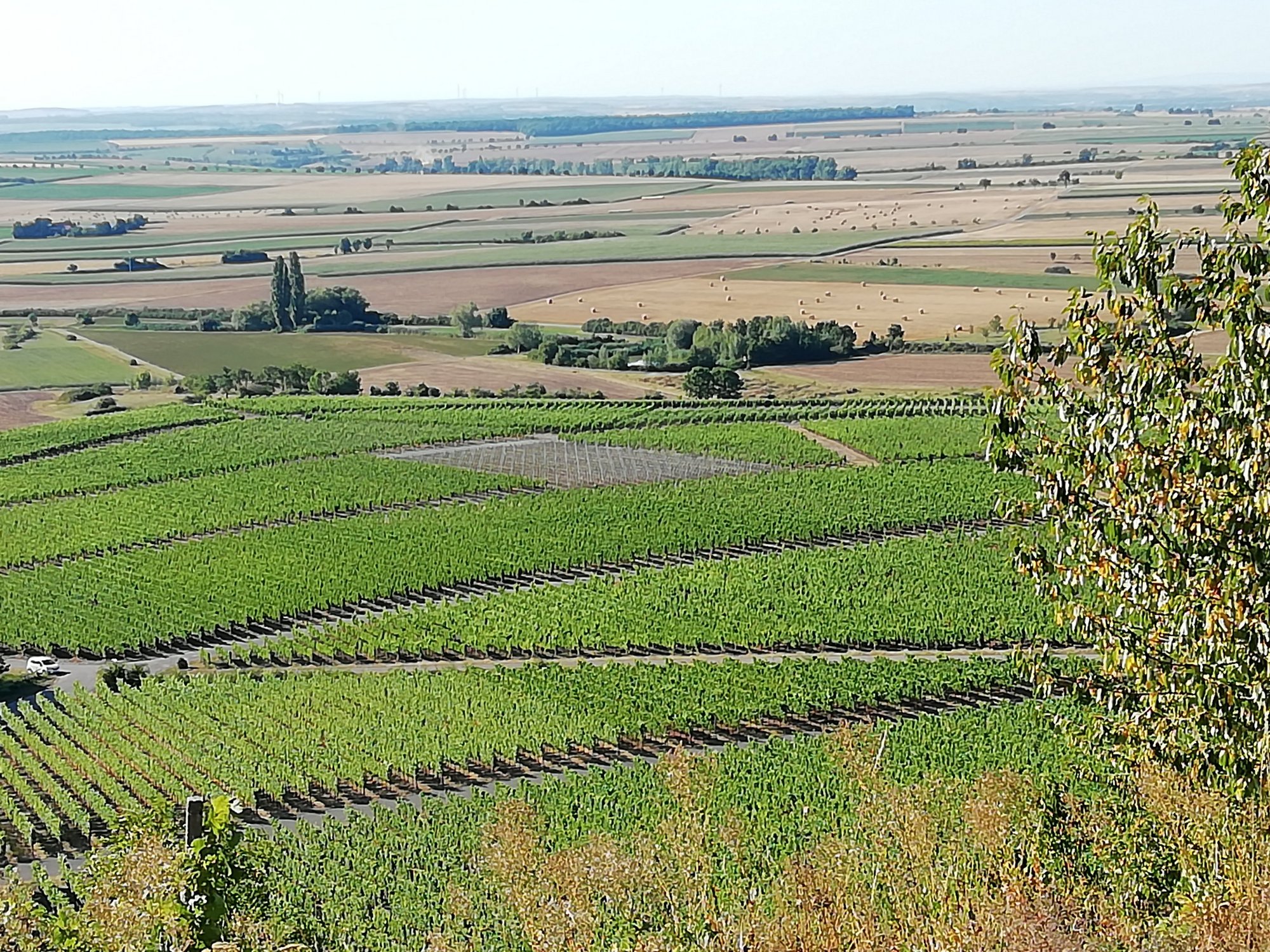 Blick von der Aussichtskanzel
