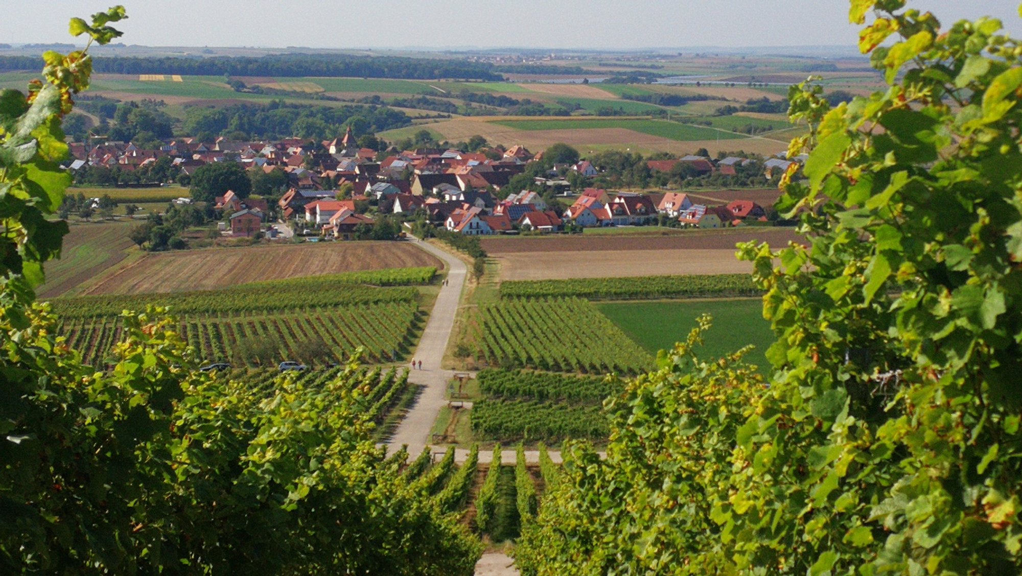 Blick nach Bullenheim