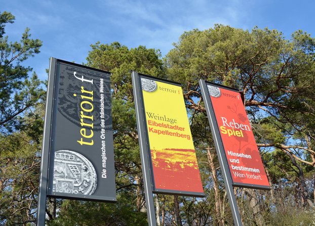 Die drei typischen terroir f-Fahnen am Standort Eibelstadt sind zu sehen. 