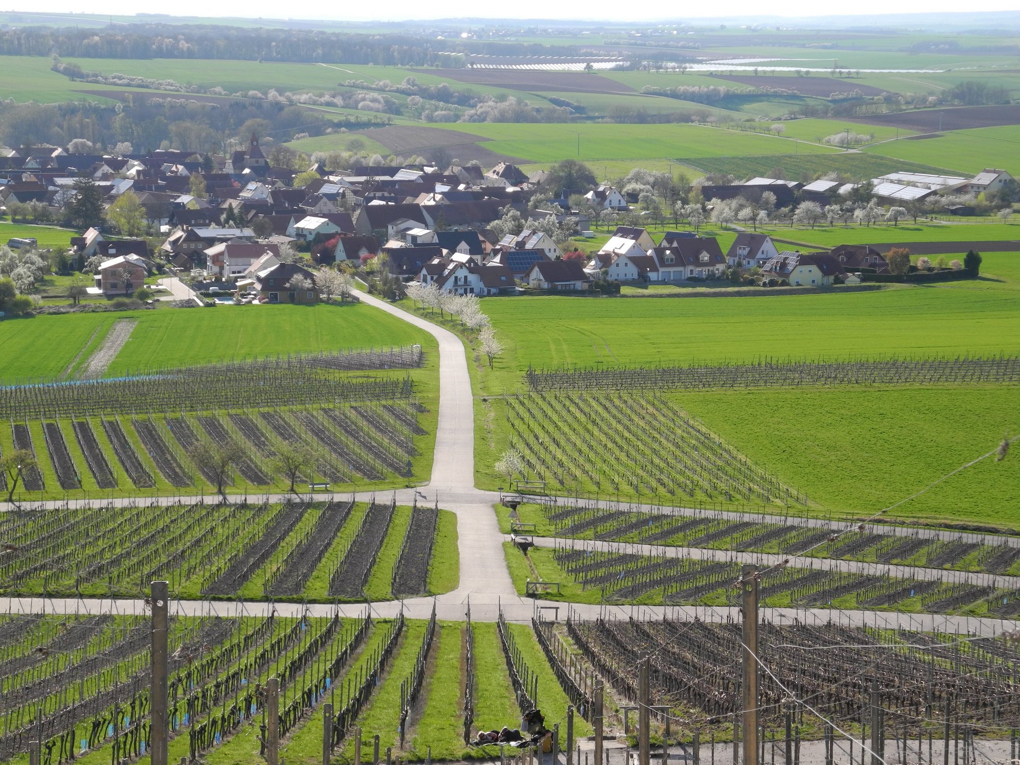 Blick auf Bullenheim