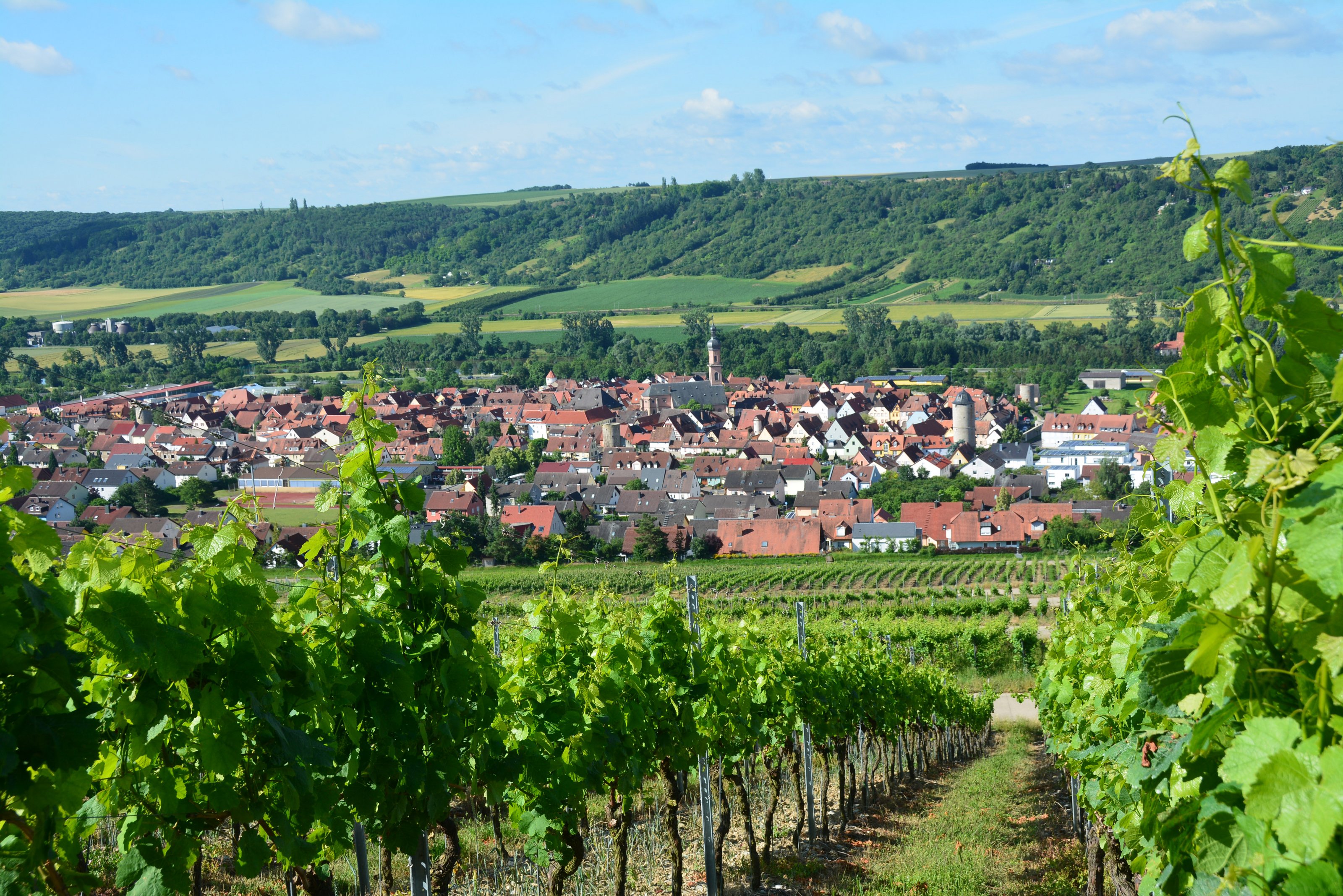 Im Vorgrund sind Weinberge zu sehen. Es ist die Lage Eibelstadter Kapellenberg. Im Hintergrund sieht man die Stadt Eibelstadt. 
